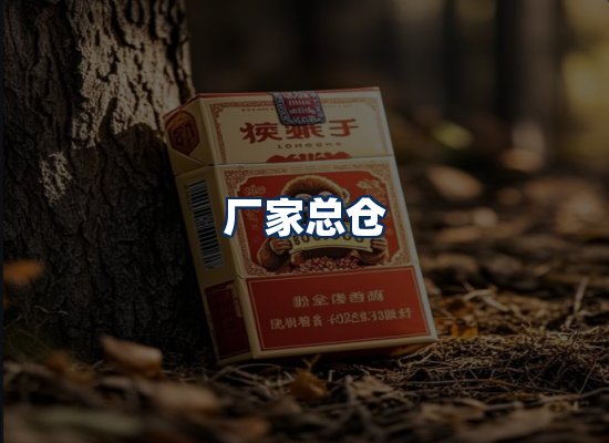 专业团队办公环境